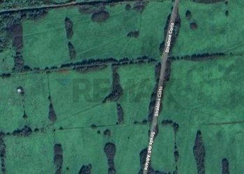 Posizione della mappa - Agricultural land Campagnano di Roma - photo 18