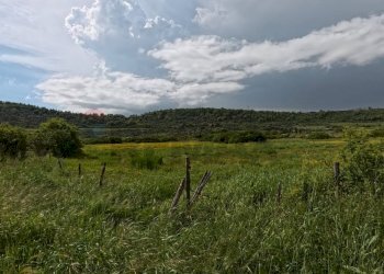 Vista delle montagne - Agricultural land Campagnano di Roma - photo 19
