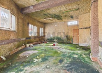 Giardino - Trilocale Mazzano Romano - foto 17