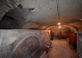 Cantina - Rustico via Bosino, Montegrosso d'Asti - foto 33