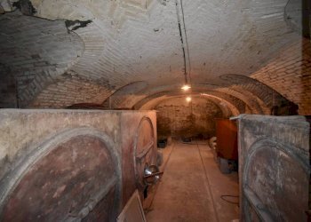 Cantina - Rustico via Bosino, Montegrosso d'Asti - foto 34