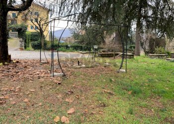 Giardino - Villa Fiuggi - foto 28