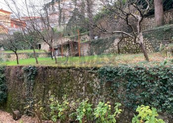 Giardino - Villa Fiuggi - foto 34