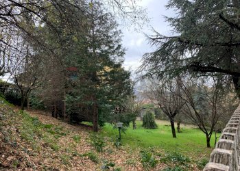 Giardino - Villa Fiuggi - foto 35