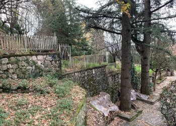 Giardino - Villa Fiuggi - foto 37