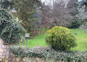 Giardino - Villa Fiuggi - foto 40