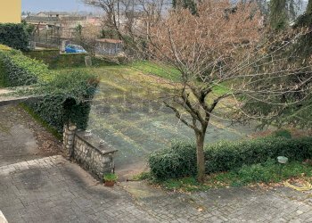 Giardino - Villa Fiuggi - foto 43