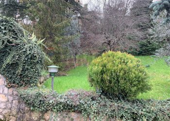 Giardino - Villa via A.Diaz
 
316, Fiuggi - foto 52