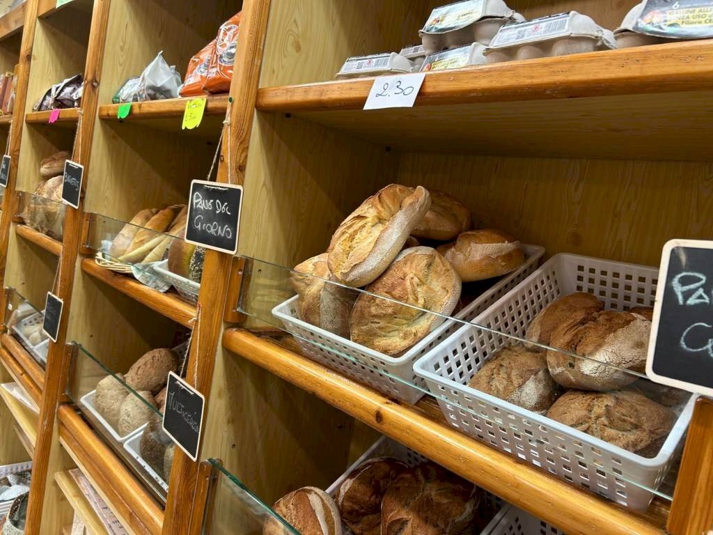 Interno non residenziale - Panificio - Pastificio via del Duomo, Pinerolo - foto 2