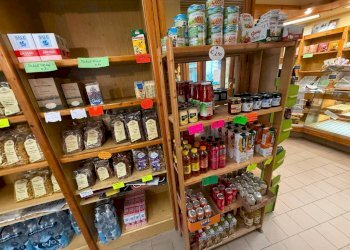 Interno non residenziale - Panificio - Pastificio via del Duomo, Pinerolo - foto 5