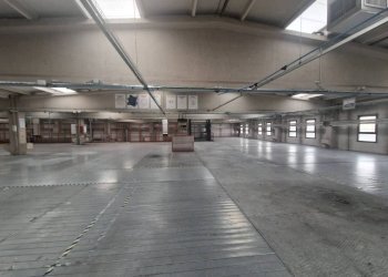 Interno non residenziale - Capannone via Lodovico Zambeletti, Baranzate - foto 18