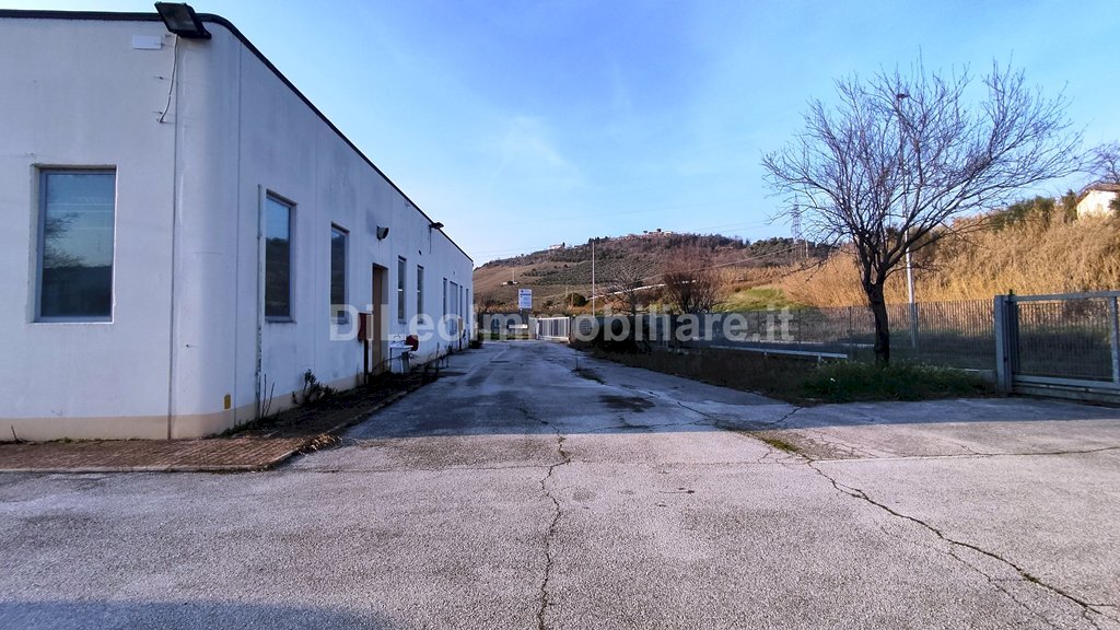 AnyToolz_watermarked_IMG_20260123_155318.jpg - Locale Commerciale Ascoli Piceno - foto 2