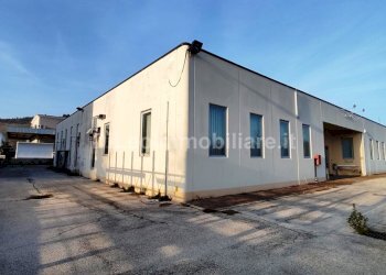 AnyToolz_watermarked_IMG_20260123_155213.jpg - Locale Commerciale Ascoli Piceno - foto 6