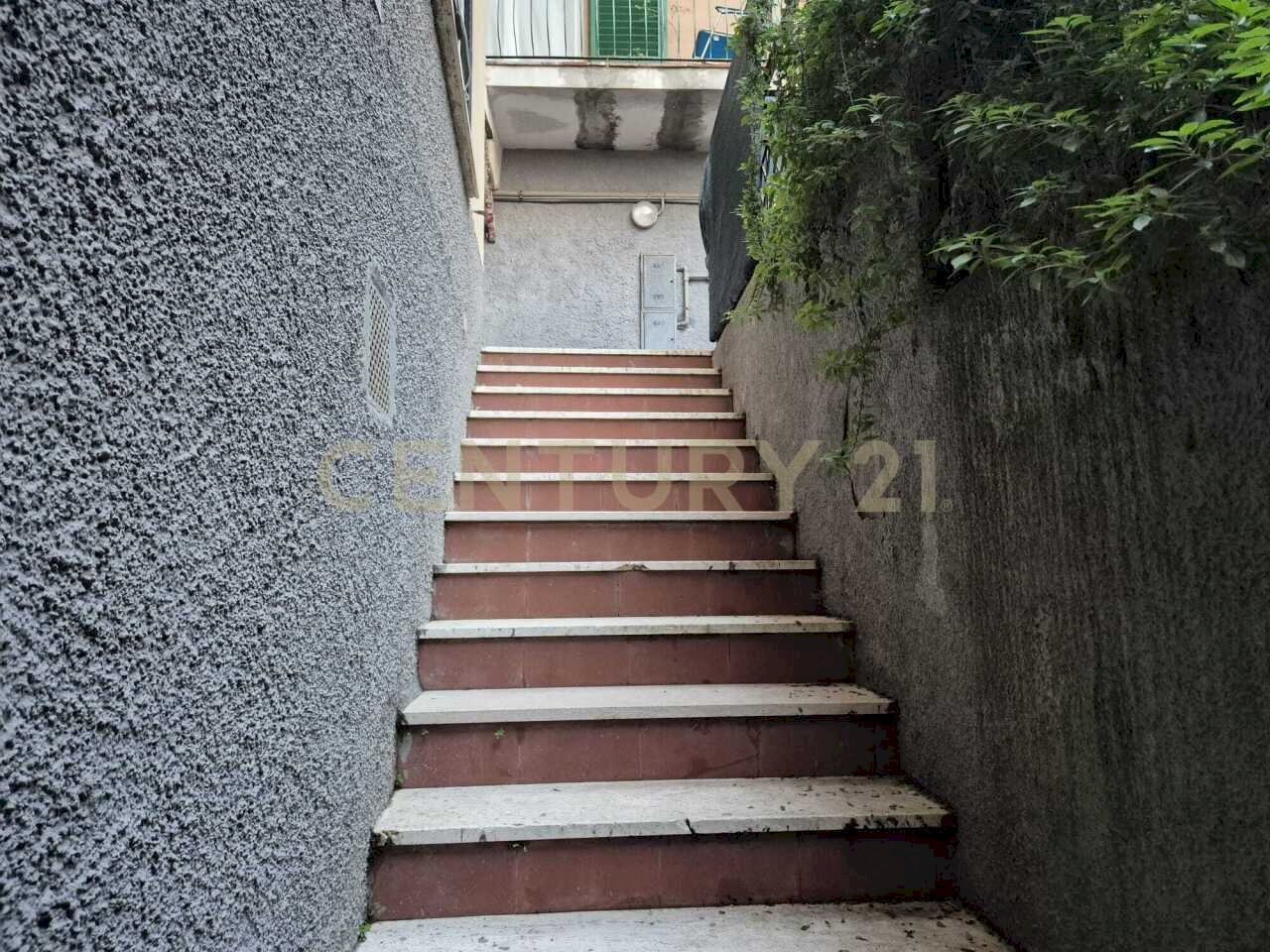 scala discesa accesso al magazzino foto 1.jpeg - Magazzino VIA GIOVANNI PASCOLI, Castiglione della Pescaia - foto 3