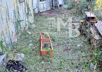 GIARDINO FACCIATA E MAGAZZINI - Monolocale Via Chiesa Vecchia di Bana 18/A, Camogli - foto 10