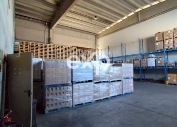 Capannone Via del Lavoro, Asti - foto 28