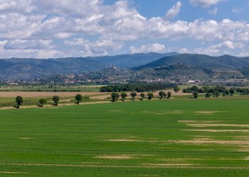 Rustico LOC. SANTA CATERINA, SNC, Cortona - foto 23