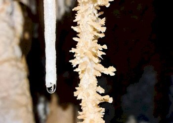 Foto 29 - Villa Via dei Carrubbi, Borgio Verezzi - foto 29