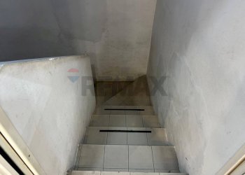 Scale - Negozio Padova - foto 15