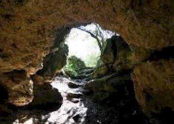 Foto 16 - Quadrilocale via dei mille
 
1, Laerru - foto 16