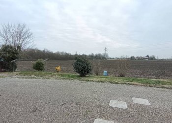 Terreno - Appartamento via Mezzo Levante, 2273, Crevalcore - foto 3