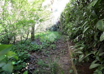 Terraced Villa Via Friuli, Rho - photo 40