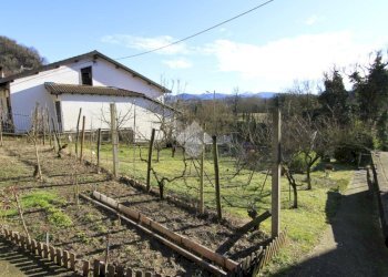 Apartment Località Baracchino, Gavi - photo 3