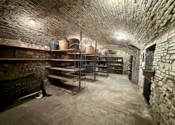 Appartamento Castel San Pietro Terme - foto 45