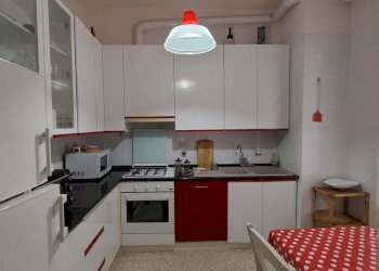 Terreno non edificabile Bologna (zona Centro Storico) - foto 5