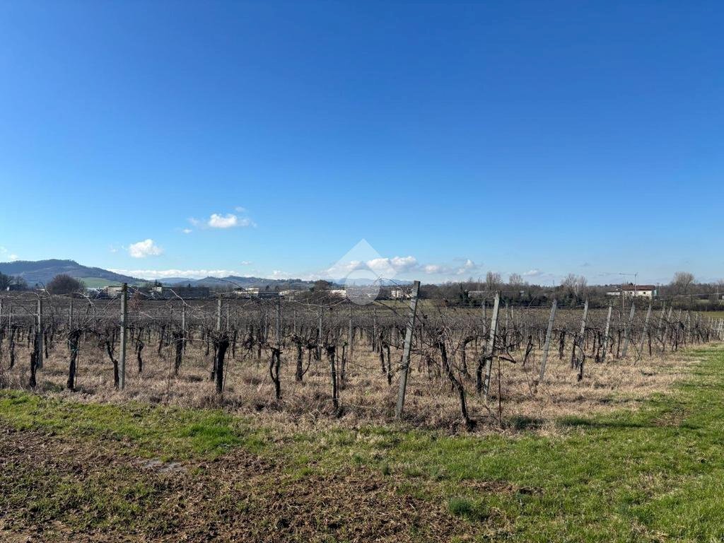 Terreno agricolo Via San Francesco, Valsamoggia (zona Albareto - Mulini Nuovi) - foto 2