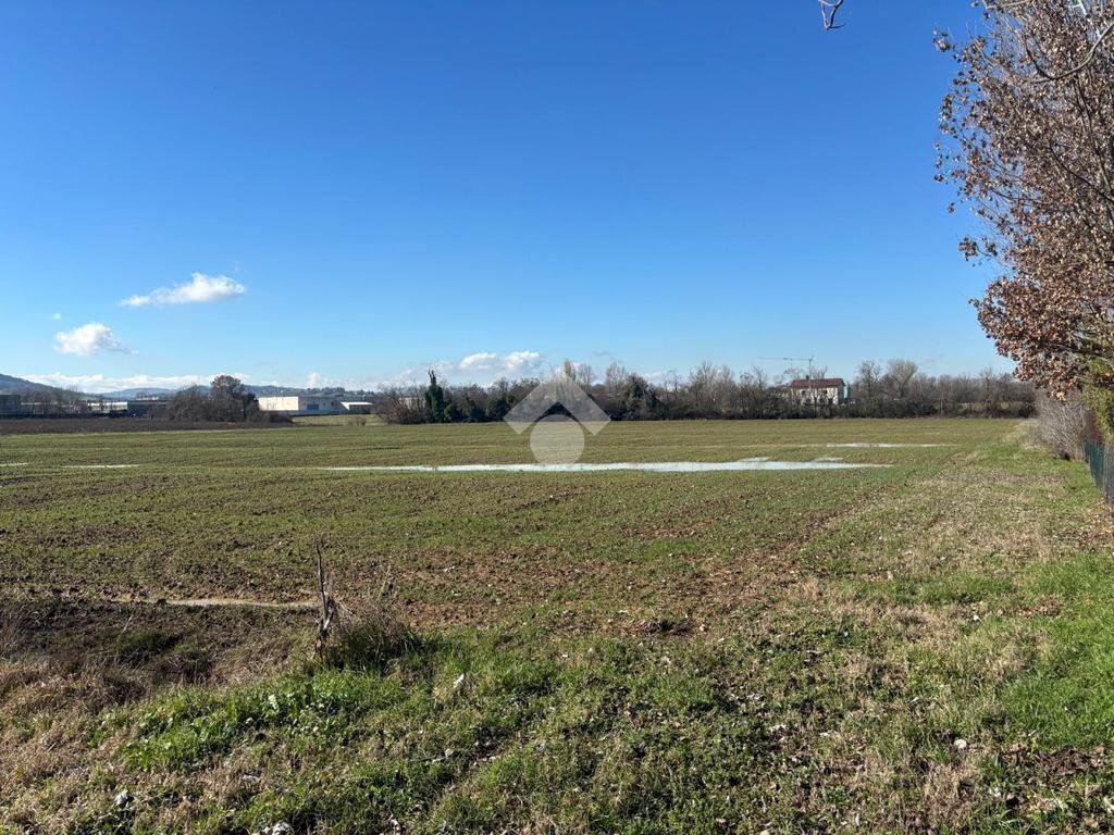 Terreno agricolo Via San Francesco, Valsamoggia (zona Albareto - Mulini Nuovi) - foto 3
