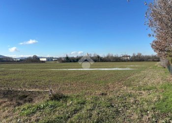 Terreno agricolo Via San Francesco, Valsamoggia (zona Albareto - Mulini Nuovi) - foto 3