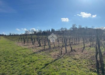Terreno agricolo Via San Francesco, Valsamoggia (zona Albareto - Mulini Nuovi) - foto 5