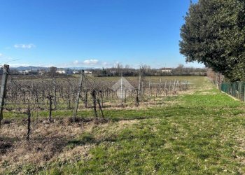 Terreno agricolo Via San Francesco, Valsamoggia (zona Albareto - Mulini Nuovi) - foto 6