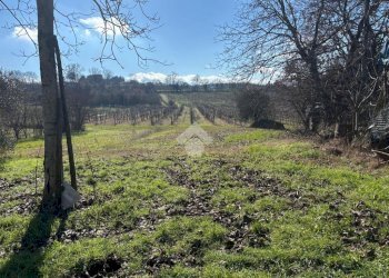 Terreno agricolo Via San Francesco, Valsamoggia (zona Albareto - Mulini Nuovi) - foto 7