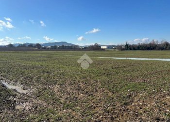 Terreno agricolo Via San Francesco, Valsamoggia (zona Albareto - Mulini Nuovi) - foto 8