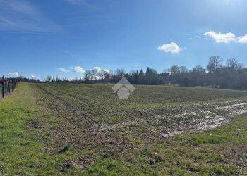 Terreno agricolo Via San Francesco, Valsamoggia (zona Albareto - Mulini Nuovi) - foto 9