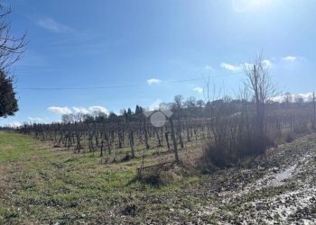 Terreno agricolo Via San Francesco, Valsamoggia (zona Albareto - Mulini Nuovi) - foto 10