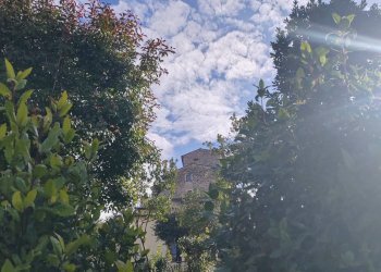 Foto 15 - Appartamento piazza Annunziata, Amaseno - foto 15