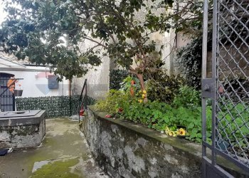 Giardino - Casa indipendente c.so Michelangelo Buonarroti 49 Leonardo da Vinci 30, Trecastagni - foto 4