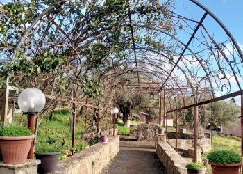 Giardino - Villa contrada saldano  rabulgino, Piazza Armerina - foto 47
