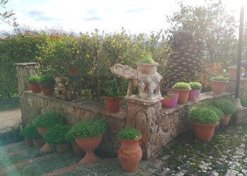 Giardino - Villa contrada saldano  rabulgino, Piazza Armerina - foto 49
