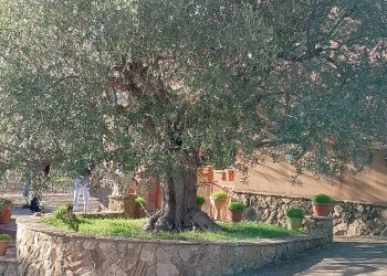 Giardino - Villa contrada saldano  rabulgino, Piazza Armerina - foto 50