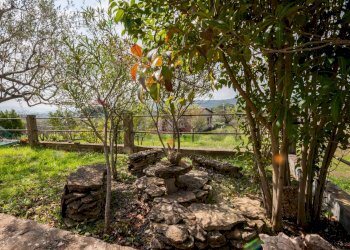 Giardino - Villa contrada saldano  rabulgino, Piazza Armerina - foto 13