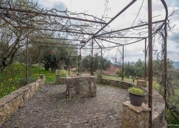 Giardino - Villa contrada saldano  rabulgino, Piazza Armerina - foto 38
