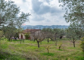 Vista delle montagne - Villa contrada saldano  rabulgino, Piazza Armerina - foto 40