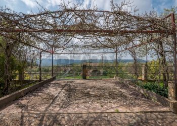 Giardino - Villa contrada saldano  rabulgino, Piazza Armerina - foto 41