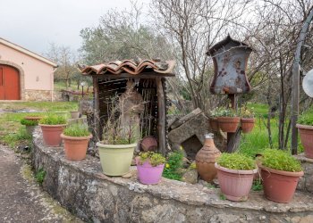 Giardino - Villa contrada saldano  rabulgino, Piazza Armerina - foto 52