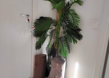 Dettagli - Commercial Activity Via Vincenzo Monti
 
17, Paterno - photo 27