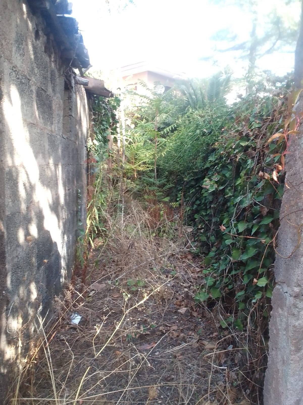 Giardino - Casa indipendente Via Marciano
 
61, San Gregorio di Catania - foto 3